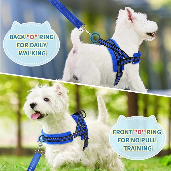 Lukovee No Pull Dog Harness and Leash Set, Soft Padded Small Dog Harness, Neck & Chest Adjustable Reflective Vest Puppy Harness with 4ft Lightweight Anti-Twist Dog Leash for Small Dogs (XXS, Blue)