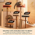 Modern Cat Tree for Living Room - Oak Veneer Cat Tower with Acrylic Pod, Solid Rubberwood, Scratch-Resistant Chenille & Sisal, Modern Cat Furniture for Indoor Cats