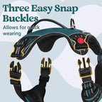 rabbitgoo Dog Harness Medium Sized, No Pull Pet Harness with Soft Padded Handle, Adjustable Reflective Vest with 3 Buckles, Easy Walking Harness with 2 Leash Clips, Green, XL