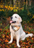 Bubblepup Plaid Dog Bandana - Cotton Dog Scarf for Small/Med/Large Dogs