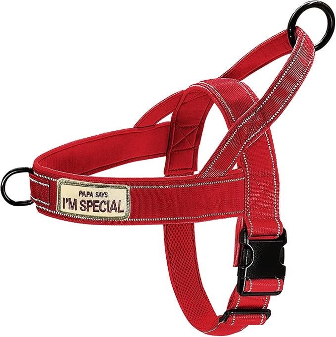 Red No Pull Dog Harness for Small Medium Large Sized Dog, Reflective Escape Proof Adjustable Dog Harnesses with 2 Patch, L