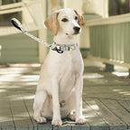 Martingale Collar and Leash Set, Premium No Slip Martingale Collar for Dogs Medium Large, Girl Dog Collars Training (NO13, L)