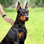 Tactical Dog Collar, Adjustable Military Training Nylon Dog Collar with Control Handle and Heavy Quick-Release Metal Buckle for Small Medium Large Dogs, Grey S