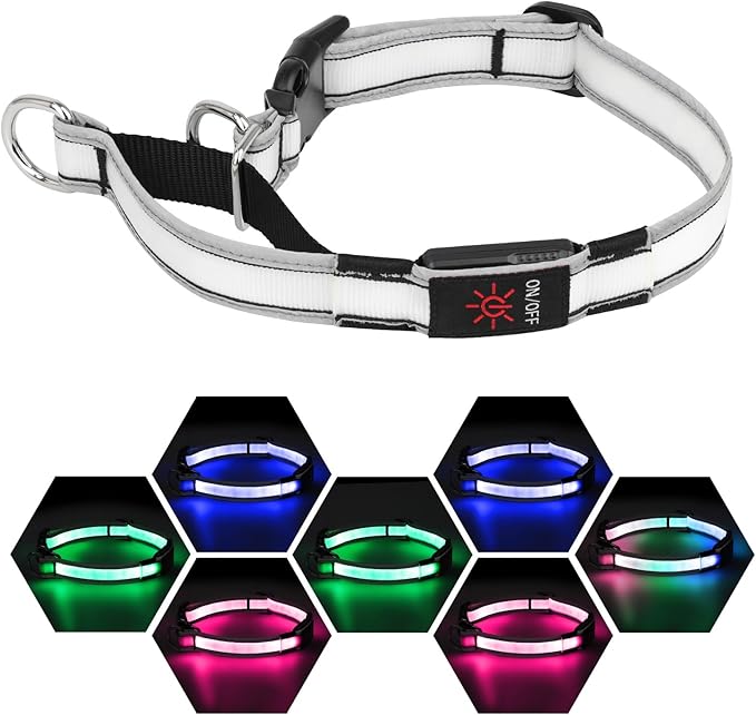 Light-Up Martingale Collar for Dogs Multi-Color, No Pull Adjustable Collars with Buckle, LED Reflective Choke Collar, Rechargeable Lighted Training Dog Collars for Small Medium Large Dogs-Large