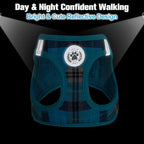 BEAUTYZOO Small Dog Harness and Leash Set,Step in No Choke No Pull Soft Mesh Dog Harnesses Reflective for Extra-Small/Small Medium Puppy Dogs and Cats, Plaid Dog Vest Harness for XS S Pets, Blue L