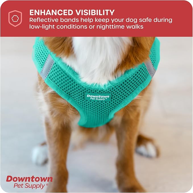 Downtown Pet Supply Step in Dog Harness for Small Dogs No Pull, Large, Bermuda Blue - Adjustable Harness with Padded Mesh Fabric and Reflective Trim - Buckle Strap Harness for Dogs