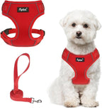 PUPTECK Small Dog Harness and Leash Set, No Pull Adjustable Puppy Cat Harness, Reflective Soft Mesh Pet Vest Small Sized, Red, S