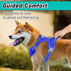 BARKBAY Dog Harness No Pull Mesh for Medium Dogs - Adjustable, Reflective, Comfortable, No Choke, Heavy-Duty - Perfect for Outdoor Training, Walking, and Hiking-Strong&Durable- M & Sapphire Blue Mesh