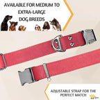 ADITYNA Red Leather Dog Collar with Metal Buckle - Heavy-Duty, Adjustable for Medium & Large Dogs (Red, Fits 15-21" Necks)
