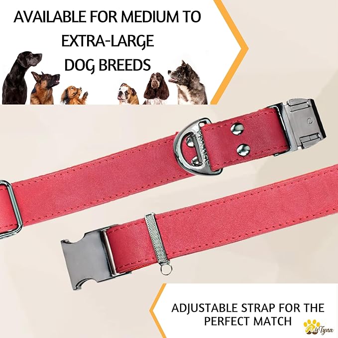 ADITYNA Red Leather Dog Collar with Metal Buckle - Heavy-Duty, Adjustable for Medium & Large Dogs (Red, Fits 15-21" Necks)