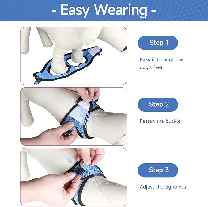 Dog Harness for Small Dogs and Leash Set, Honeycomb Grid, Reflective Lightweight Harness & Anti-Twist Pet Lead Multi Color, Size: XS-S-M. (XS, Marine Blue)