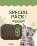 B Kitty Scratcher Cat Bed, Fun for Your Purr-FECT Feline (B-Scratcher Oval Pack x 5)