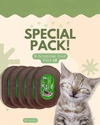 B Kitty Scratcher Cat Bed, Fun for Your Purr-FECT Feline (B-Scratcher Oval Pack x 5)