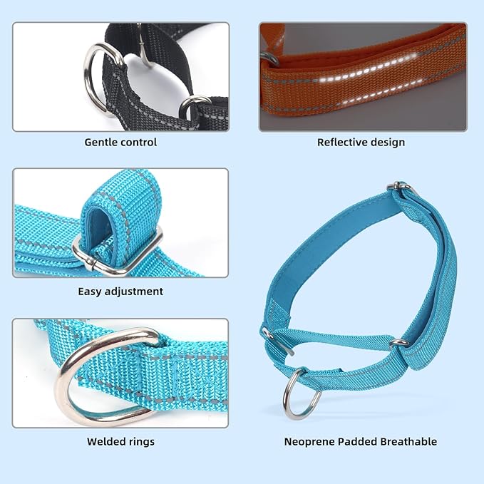 SGODA Martingale Dog Collar, Reflective Nylon Padded Dog Training Collars for Small Dogs, Orange S