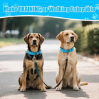 Martingale Collar for Dogs, Reflective Heavy Duty with Quick Release Nylon Buckle, No Pull Training Choker for Walking, Training, Sky Blue,M