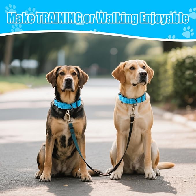 Martingale Collar for Dogs, Reflective Heavy Duty with Quick Release Nylon Buckle, No Pull Training Choker for Walking, Training, Sky Blue,S