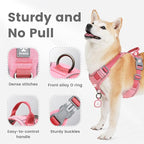 Pawaii Dog Harness for Small Dogs No Pull, No Pull Dog Harness with Pet ID Tag, No Choke Front Clip Harness Dog, Adjustable Soft Padded Pet Vest with Easy Control Handle