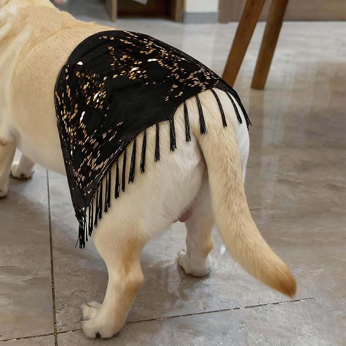Dog Belly Dancer Costume with Necklace and Waist Chain - Sequin Party Outfit for Medium to Large Dogs, Labrador, Golden Retriever, German Shepherd, Husky
