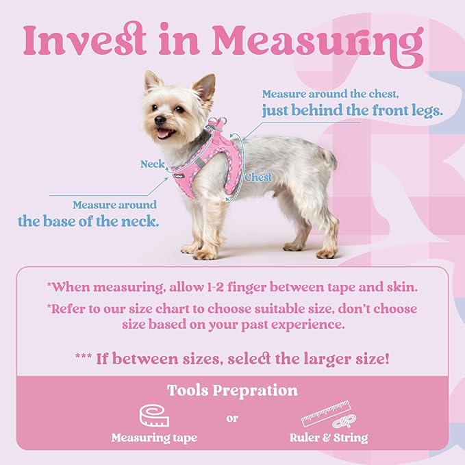 rabbitgoo Small Dog Harness, Step-in Soft Mesh Puppy Vest with Safety Buckle, Breathable Reflective Pet Harness for Small Sized Dogs, Pink & Plaid Trim S