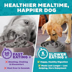 Outward Hound Fun Feeder Slo Bowl – Large 4‑Cup Capacity,Slow Feeding,Medium to Large Dogs,Non‑Slip,Gray,Drop Pattern,(Pack of 6)
