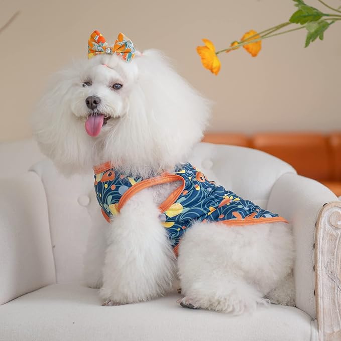 CuteBone Dog Shirts 2-Pack Soft Pet Clothes Breathable Summer Vest for Small Puppy and Stretchy Cat Apparel 2BX11XS