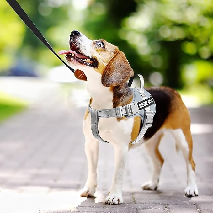 voopet Emotional Support Dog Harness, Professional Service Dog Vest Harness for Small Medium Large Dogs, Reflective Breathable and Adjustable No Pull/Choke ESA Essential Harness