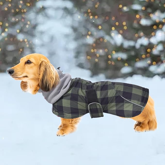 Dachshund Coats Waterproof Suitable for Dachshunds Sausage Weiner Dog Winter Coat Padded Fleece Puppy Snowsuit with Adjustable Bands Reflective Stripe - Plaid Green - M