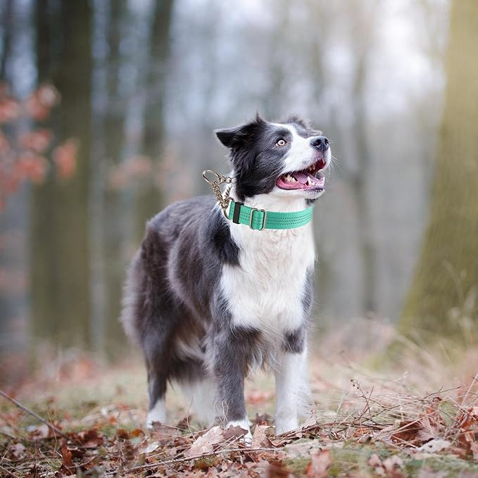 Martingale Dog Collar with Quick Release Buckle Steel Chain No Pull Training Reflective Collar for Medium Large Dogs(Teal, Large)