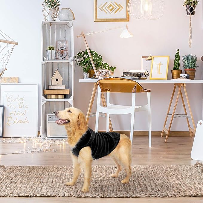 EXPAWLORER Dog Hoodie Fleece Sweater Vest, Hooded Dog Sweatshirt Fall Winter Pet Clothes with Leash Ring, Sleeveless Warm Cozy Puppy Clothing for Cat Small Medium Large Dogs Girl Boy, Black M