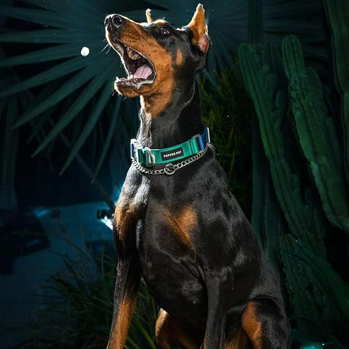 Heavy Duty Tactical Dog Collar,Metal Buckle Quick Release Collar for Large Dogs,1700 LB Strength Tested,Dual Color Nylon Collar for Walking,Training & Hunting