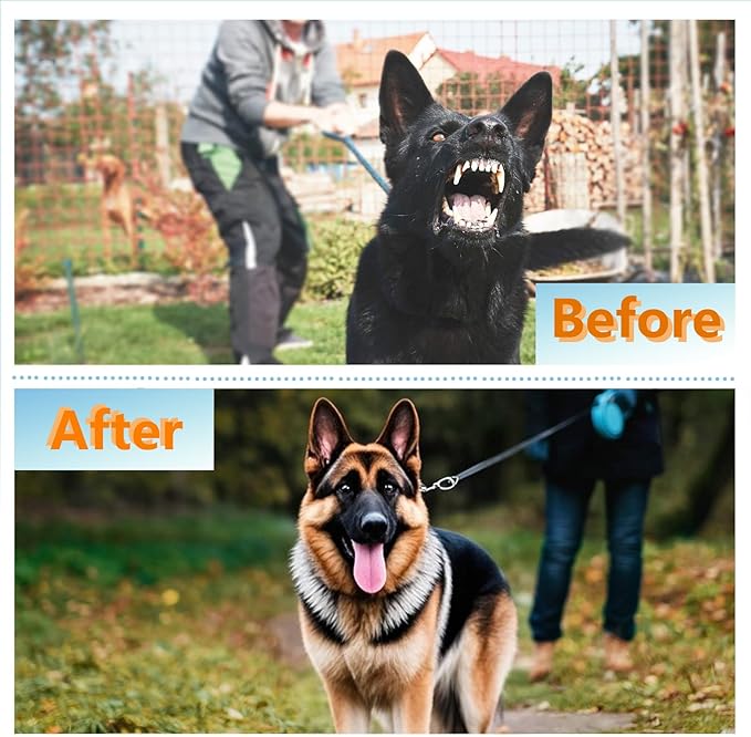 Dog Prong Collar - Stainless Steel Pinch Collar for Large Dogs Training, Adjustable Choker Chain Collar, Durable Dog Training Collar for Medium/Large Breed Obedience (3.0mm, Neck Size 22"-24")