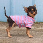 LOPHIPETS 100% Breathable Cotton Striped Dog Tee Shirt T-Shirt for Small Dogs Teacup Chihuahua Yorkie Puppy Clothes -Purple and Pink Strips/XXS