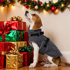 Kuoser Dog Coat Warm Fleece Lining Turtleneck Dog Jacket with Harness Built-in, Adjustable Windproof Cold Weather Coats with Quick Release Buckle Pet Winter Snowsuit for Extra Large Dogs, Grey 2XL