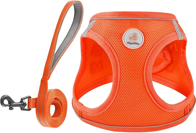 Hipubby Dog Harness and Leash Set, No Pull Soft Mesh Puppy Harness for Small Medium Dogs, Cats - Step in Reflective Breathable Lightweight Vest Harness for Walking, Training - Orange, XS