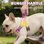 PUPTECK No Pull Dog Harness Small Sized Dog, Adjustable Reflective Pet Vest Harness with Bungee Handle, Escape Proof No Choke Harness for Small Dogs Walking Training, Pink & Purple M