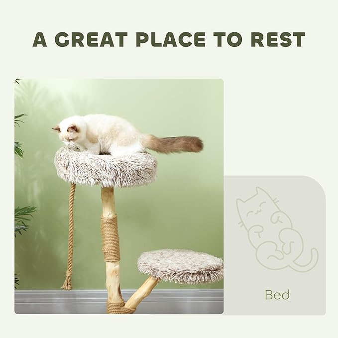 Modern 35” Cat Tree with Solid Wood Scratching Post – Indoor Cat Tower with Plush Bed & Rope Toy, Stable Round Base, Natural Brown Cat Condo for Cats Under 10 lbs