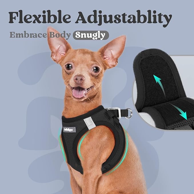 rabbitgoo Small Dog Harness, Step-in Soft Mesh Puppy Vest with Safety Buckle, Breathable Reflective Pet Harness for Small Medium Dogs, Black XL