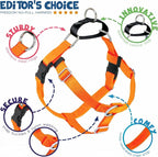 2 Hounds Design Freedom No Pull Dog Harness, Adjustable Harness and Leash Set, Easy Walking & Comfortable Control, Fits Small, Medium & Large Dogs, Solid Colors, Made in USA, 1" LG, Neon Orange