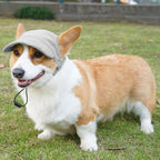 Dog Baseball Cap, Dog Cat Summer Beach Visor Hat with Ear Holes, Adjustable Puppy Sunbonnet Headdress (Grey, Large)
