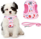 KOOLTAIL Dog Harness and Leash Set for Small Medium Dogs, Step in No Pull Soft Mesh Dog Harness Comfort Padded Pet Vest, Adjustable Reflective Easy Walking Puppy Cats Harness Training, Watermelon S
