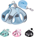 Solmoony Dog Harness for Small Medium Large Dogs No Pull, Puppy and Leash Set, Dogs, Step in Harness, mesh Harness. (Bule, S) JJSS032