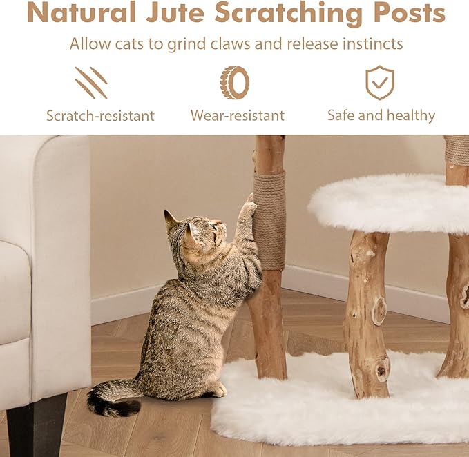 Tangkula Solid Wood Cat Tree, Modern Wooden Cat Tower with Perch, Jute Scratching Posts, Dangling Ball, Soft Long Plush, Luxury Cat Condo, Natural Branch Cute Cat Tree for Indoor Cats