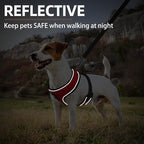PUPTECK Soft Mesh Dog Harness and Leash Set Pet Puppy Cat Comfort Padded Vest No Pull Harnesses, Solid Red, M