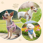 BEAUTYZOO Step in Dog Harness and Leash Set,Reflective Dog Harness No Pull No Choke Puppy Harness for Small Medium Large Dogs Cats,Soft Padded Mesh Vest Harnesses for Girl and Boy Pets,Duck Blue M