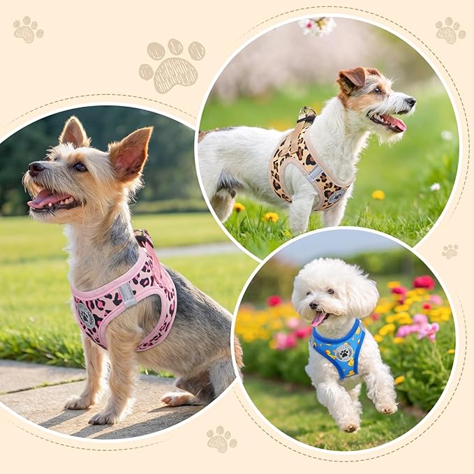 BEAUTYZOO Step in Dog Harness and Leash Set,Reflective Dog Harness No Pull No Choke Puppy Harness for Small Medium Large Dogs Cats,Soft Padded Mesh Vest Harnesses for Girl and Boy Pets,Duck Blue M