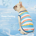 cyeollo 2pack Dog Cooling Shirt, Breathable Sleeveless Summer Clothes for Dogs, Intant Cool T Shirts for Small Dogs, Blue Fish XL