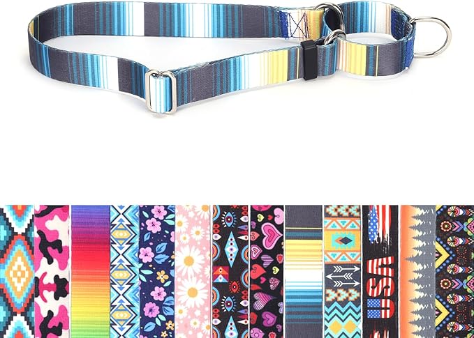 Dog Choker Collar, No-Slip Escape Proof Choke No Pull Cinch Soft Nylon Dog Training Martingale Collars Adjustable for Small Medium Large Breed Pet Dogs, Blue Gradient M