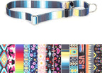 Dog Choker Collar, No-Slip Escape Proof Choke No Pull Cinch Soft Nylon Dog Training Martingale Collars Adjustable for Small Medium Large Breed Pet Dogs, Blue Gradient L