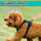 BARKBAY Dog Harness No Pull for Small Dogs - Adjustable, Reflective, Comfortable, No Choke, Heavy-Duty - Perfect for Outdoor Training, Walking, and Hiking - Strong & Durable - XS & Navy