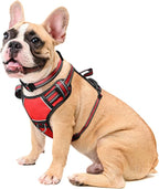 WINSEE Dog Harness No Pull, Pet Harnesses with Dog Collar, Adjustable Reflective Oxford Outdoor Vest, Front/Back Leash Clips for Small, Medium, Large, Extra Large Dogs, Easy Control Handle for Walking